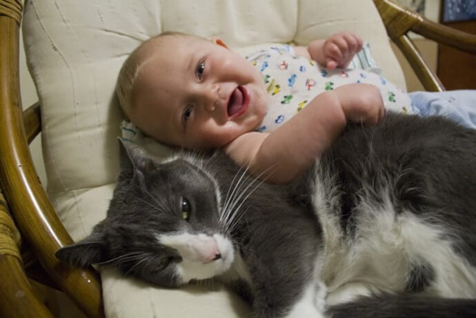 猫と子供の仲良し写真